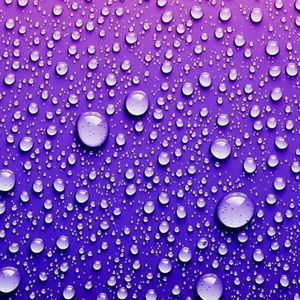 Meet your Posher, Kaylee